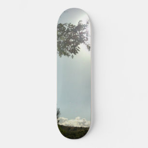 ESTILO E DESIGN DE SKATEBOARD