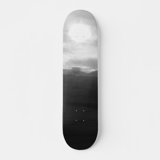 ESTILO E DESIGN DE SKATEBOARD (Frente)