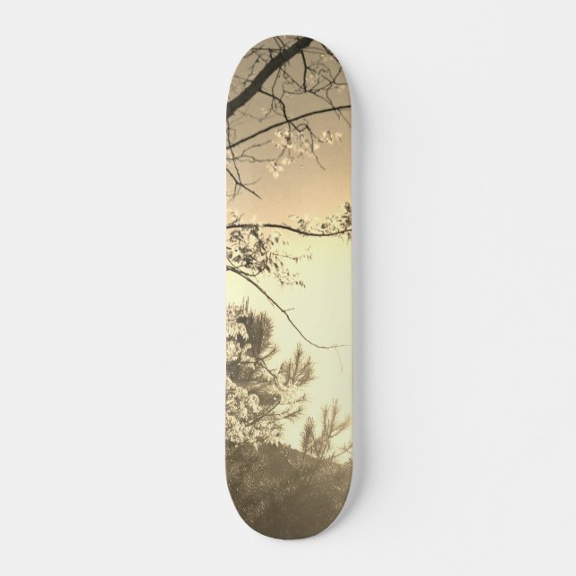 ESTILO E DESIGN DE SKATEBOARD (Frente)
