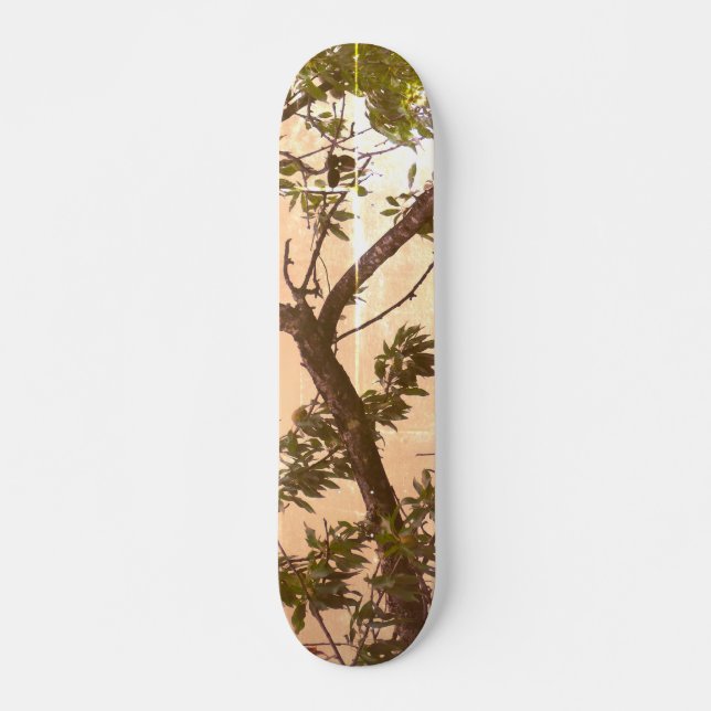 ESTILO E DESIGN DE SKATEBOARD (Frente)
