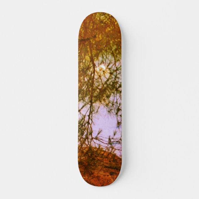 ESTILO E DESIGN DE SKATEBOARD (Frente)