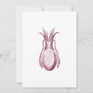 Estilo Letterpress De Tuttlefish