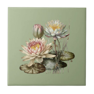 Estilo Natureza Azulejo De Lily Cerâmica