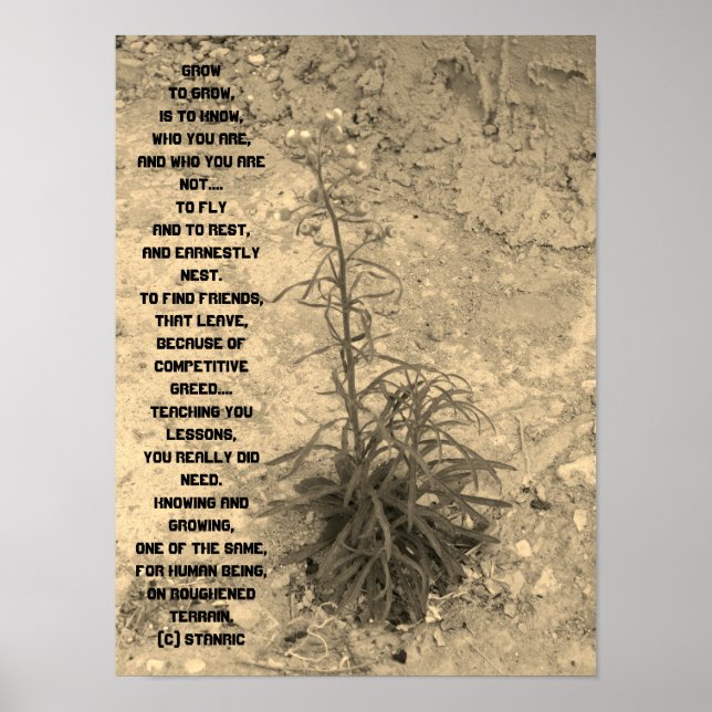 ESTILO POSTER ART E DESIGN (Frente)