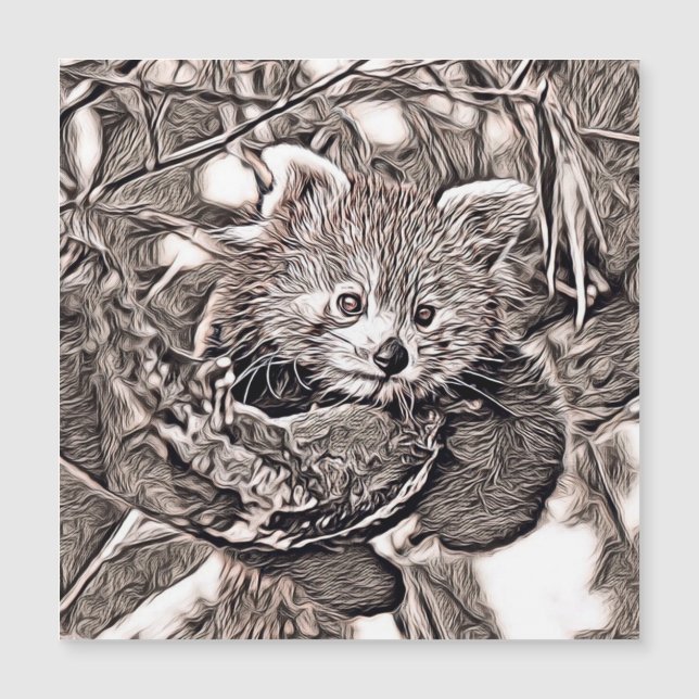 Estilo Russo - Panda Vermelha (Frente)