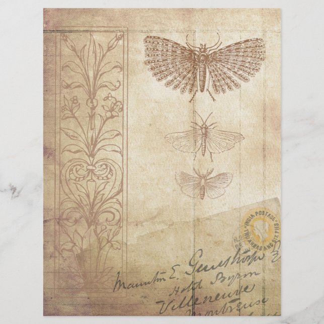 Estilo Vintage Ephemera (Frente)