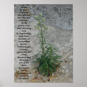ESTILOS poster ART E DESIGN