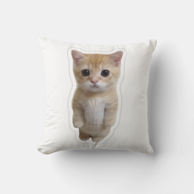Estojo de Almofada de Gatinho Laranja em Pé Fofo (Frente)