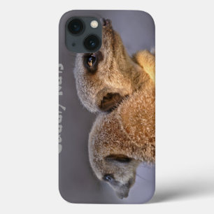 Estojo de iPad Cuddly Kats