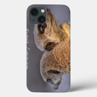 Estojo de iPad Cuddly Kats