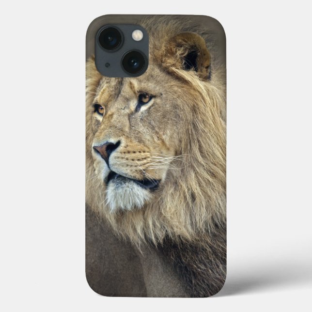 Estojo de iPad Sphinx (Verso)
