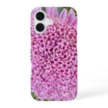 Estojo de iPhone 16 Aster Floral Rosa