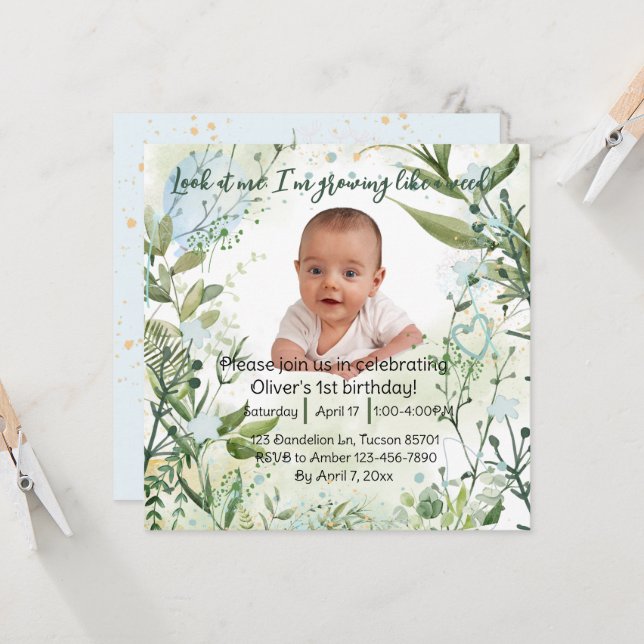 Estou crescendo como uma erva, primeiro aniversari (Frente/Verso In Situ)