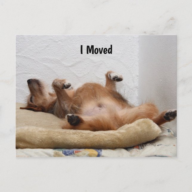 Estou Exausto! Cartão Postal (Frente)