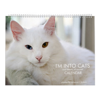 Estou no Calendário 2020 de Gatinhos e Gatinhos