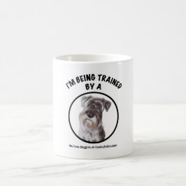 Estou sendo treinado por uma caneca Schnauzer