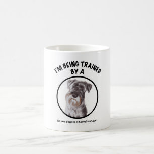 Estou sendo treinado por uma caneca Schnauzer