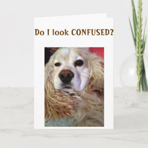 ESTOU TÃO CONFUSO QUE OLHAMOS PARA O CARTÃO DE ANI