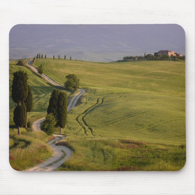 Estrada a Terrapille no mousepad de Toscânia (Frente)