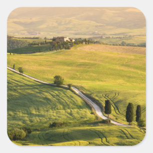 Estrada branca na etiqueta da paisagem de Toscâni