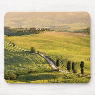 Estrada branca no mousepad da paisagem de Toscâni