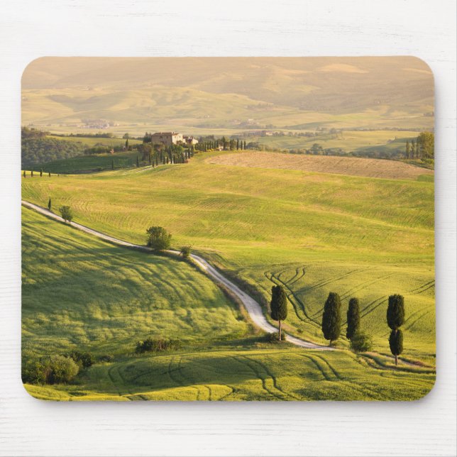 Estrada branca no mousepad da paisagem de Toscânia (Frente)