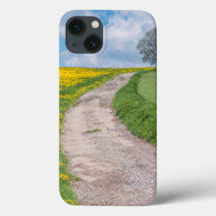 Estrada de Terra e Árvore