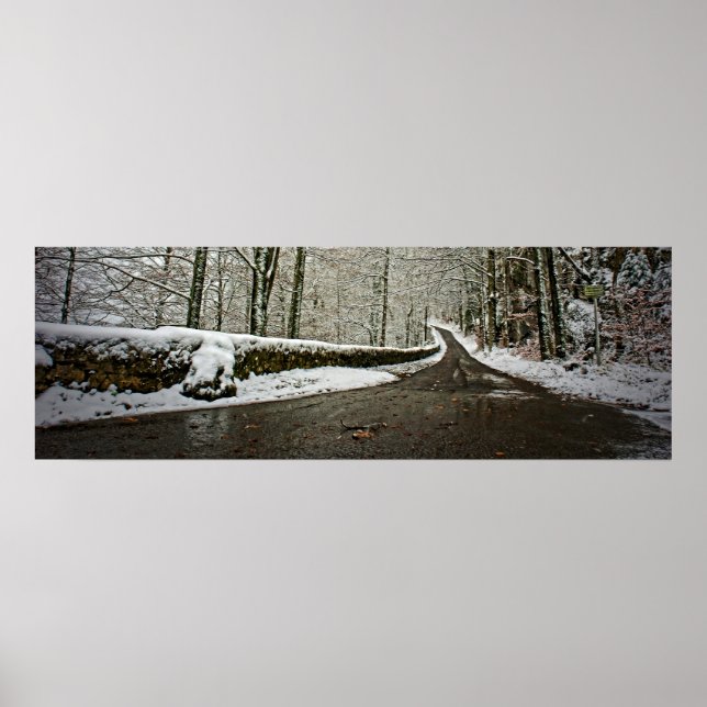 Estrada para o futuro - Poster 36x12 (Frente)