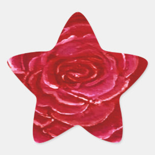 Estrela da etiqueta cor-de-rosa