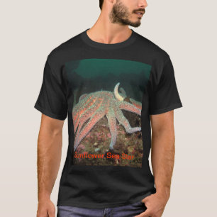 Estrela de mar do girassol - camisa