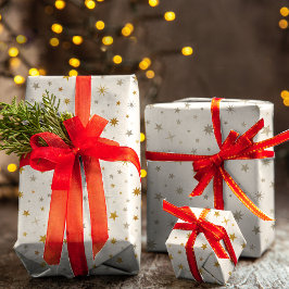 Estrela de Natal de prata branca e elegante e Dour