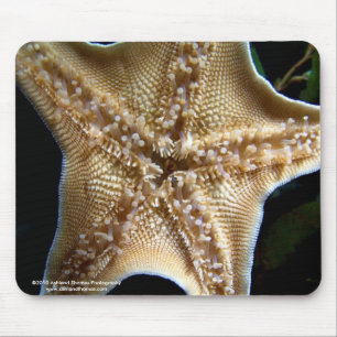 Estrela do mar Mousepad