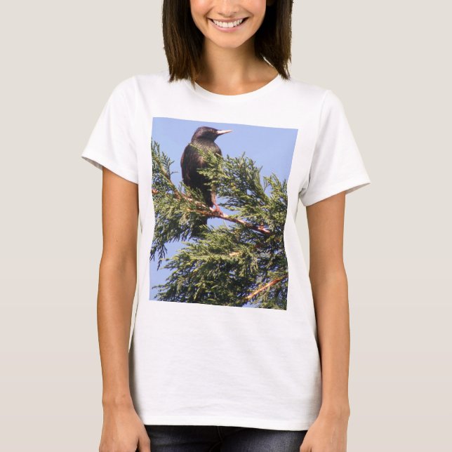 Estrelando em uma Árvore de Spruce Damas de Camisa (Frente)