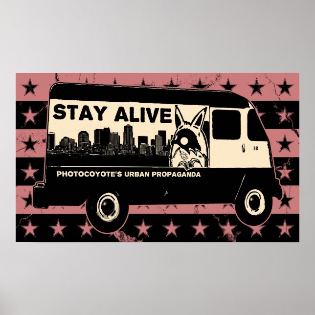 Estrelas do Photocoyote & Poster (Frente)