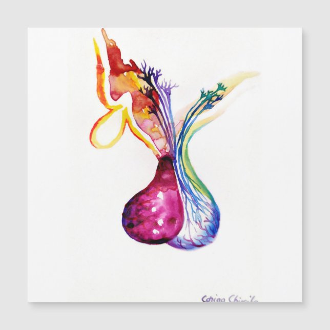 Estrutura hipofisária (Frente)