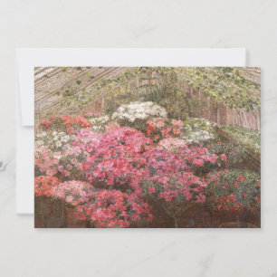 Estufa Azaleas   Marie Antoinette Marcotte