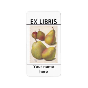 Etiqueta 5 peras de colheita ilustradas numa chapa de reser