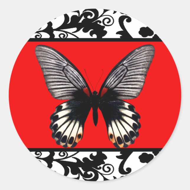 Etiqueta a preto e branco e a borboleta (Frente)