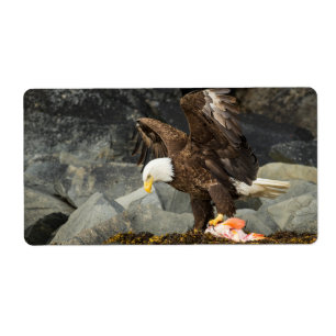 Etiqueta A Última Águia Bald