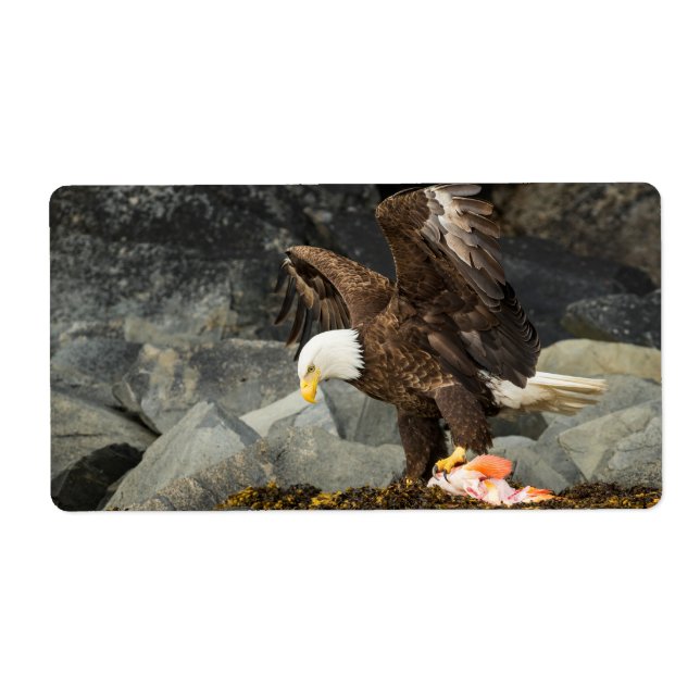 Etiqueta A Última Águia Bald (Frente)