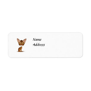 Etiqueta Abyssinian da caricatura