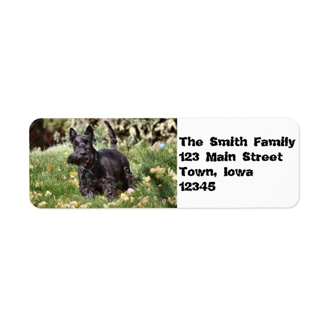 Etiqueta Ach! (Frente)