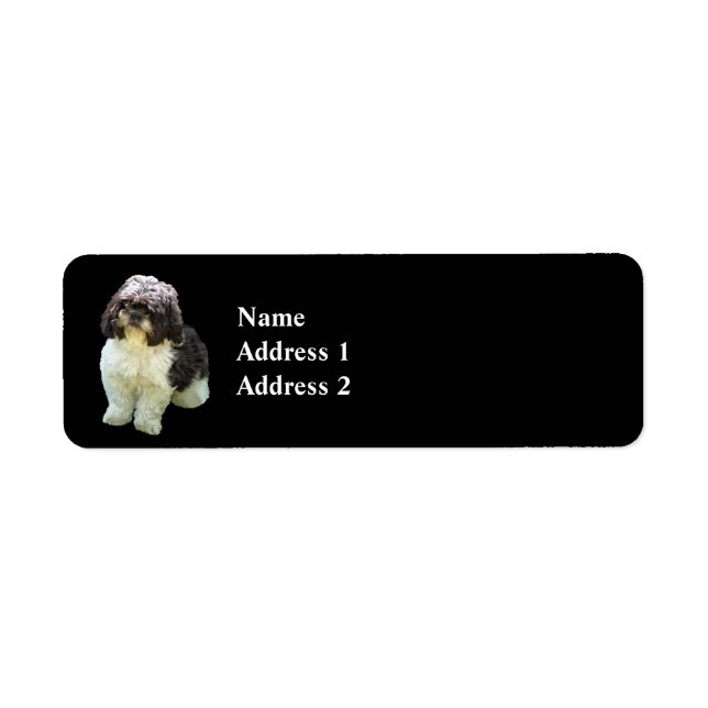 Etiqueta Adorável cachorrinho Shih Tzu (Frente)