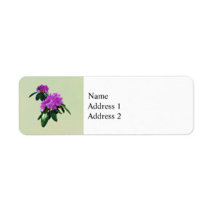 Etiqueta Adorável Rhododendrons Rosa