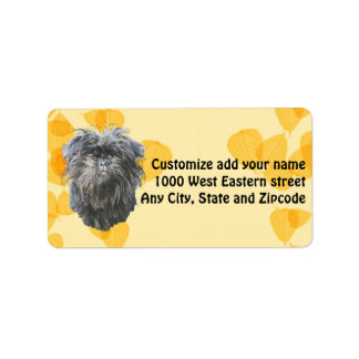 Etiqueta Affenpinscher sobre Folhas Douradas