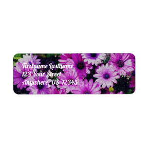 Etiqueta African Daisy Flowers Vintage Look Address