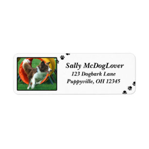 Etiqueta Agilidade de Brown border collie