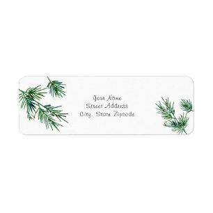 Etiqueta Agulhas de Pine de Água