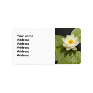 Etiqueta Almofadas de lírio e flor de Lotus branco