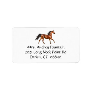 Etiqueta Amante de Cavalos Equestre Ocidental Rodeio Countr